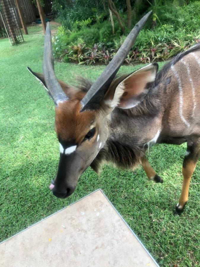 Jock Of The Bushveld Hotel บาร์เบอร์ตัน ภายนอก รูปภาพ