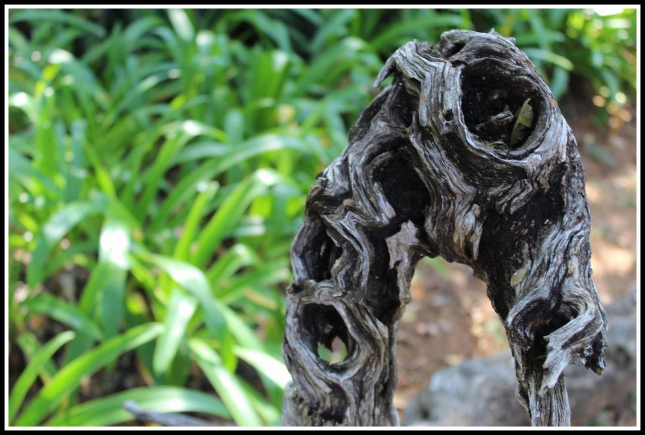 Jock Of The Bushveld Hotel บาร์เบอร์ตัน ภายนอก รูปภาพ